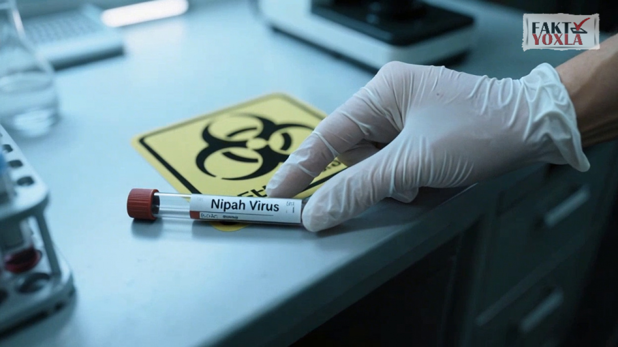 Nipah Virus: Is There a Pandemic Risk?