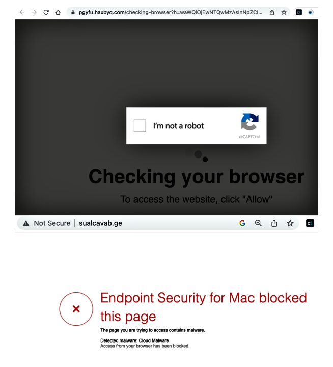 Zərərli proqram təminatı ehtiva edən iki veb-saytın ekran görüntüləri.