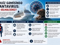 Kruiz gəmisində hantavirus: Yoluxma haqqında nə məlumdur və virus nə dərəcədə təhlükəlidir?