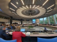 The Art of Baking: From Classic Bread to Artisan Pastries