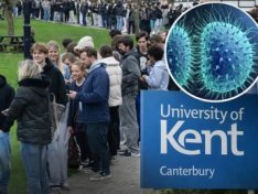 The Art of Baking: From Classic Bread to Artisan Pastries