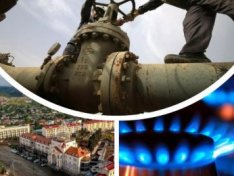 The Art of Baking: From Classic Bread to Artisan Pastries