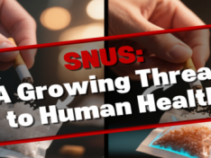 Snus: A Growing Threat to Human Health