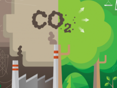 Azerbaijan’s National Targets on Reducing Carbon Emissions