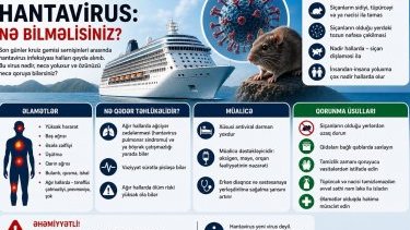 Kruiz gəmisində hantavirus: Yoluxma haqqında nə məlumdur və virus nə dərəcədə təhlükəlidir?