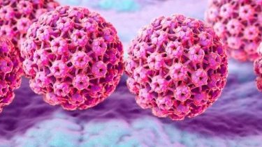 Meksikalı bilim insanının HPV'yi tamamen yok etmeyi başardığı iddiası