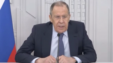 Сергей Лавров: Французы петушатся очень часто