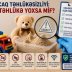 Uşaq oyuncaqlarında asbest təhlükələri haqda faktları yoxlayırıq