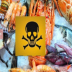 Seafood or "Toxic Ocean Garbage": What Science Knows About Seafood Safety